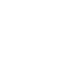 Search icon